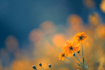 吉他和弦转换不利索怎么办？