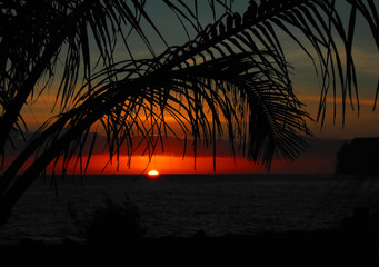 如何挑选合适的基础油