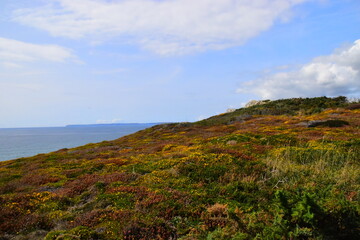 etc下高速没有扣费怎么办