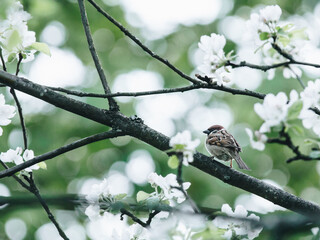 如何挑选合适的基础油
