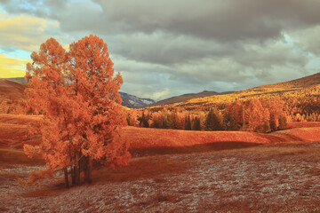 仙家给弟子托过梦吗？