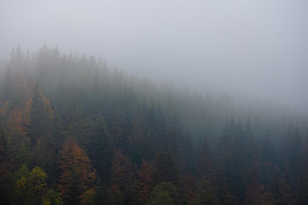 洗面奶套装使用方法