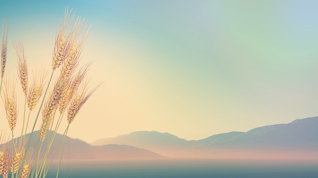 在赤道正上方的同步卫星距离地球中心的高度都相等吗？