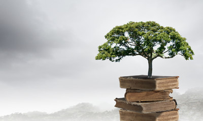 洗面奶套装使用方法